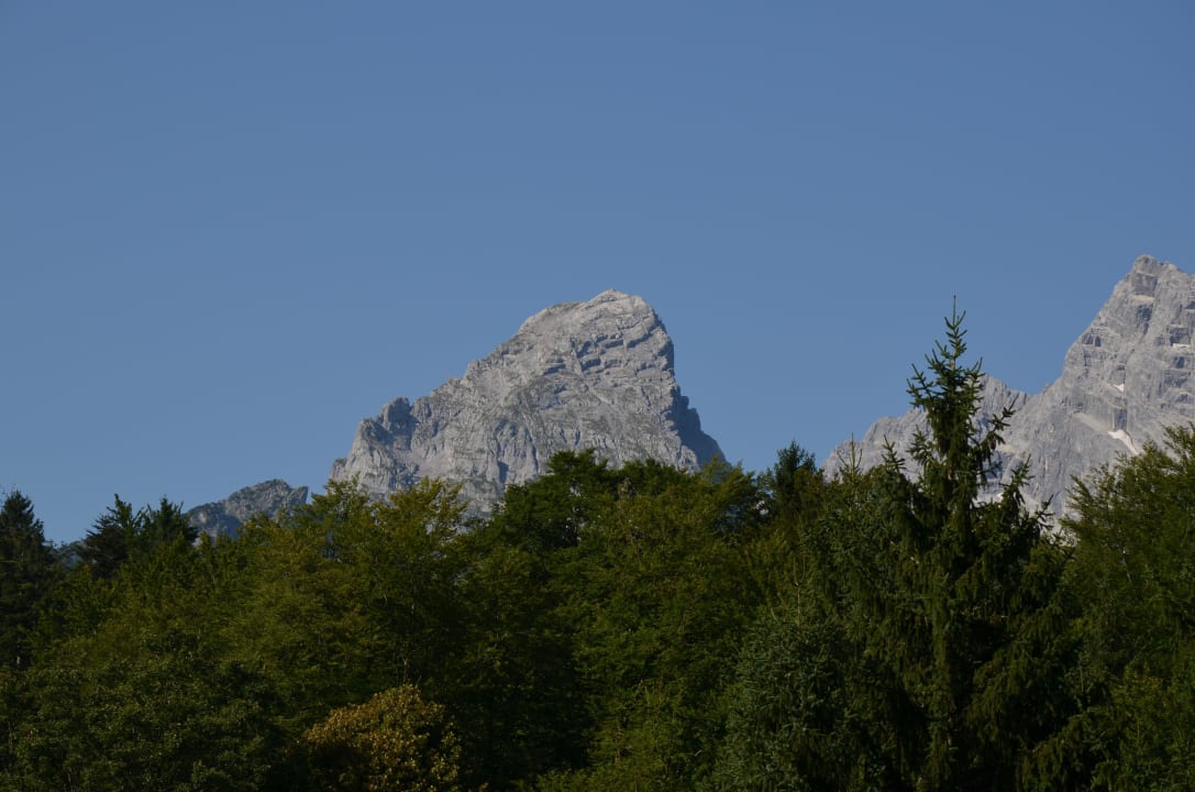 Blick zum Watzmann Alm- & Wellnesshotel Alpenhof