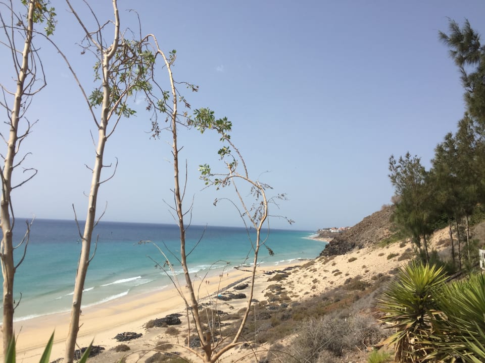 Strand Marina Playa Suite Hotel