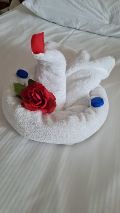 Zimmer PALOMA Perissia