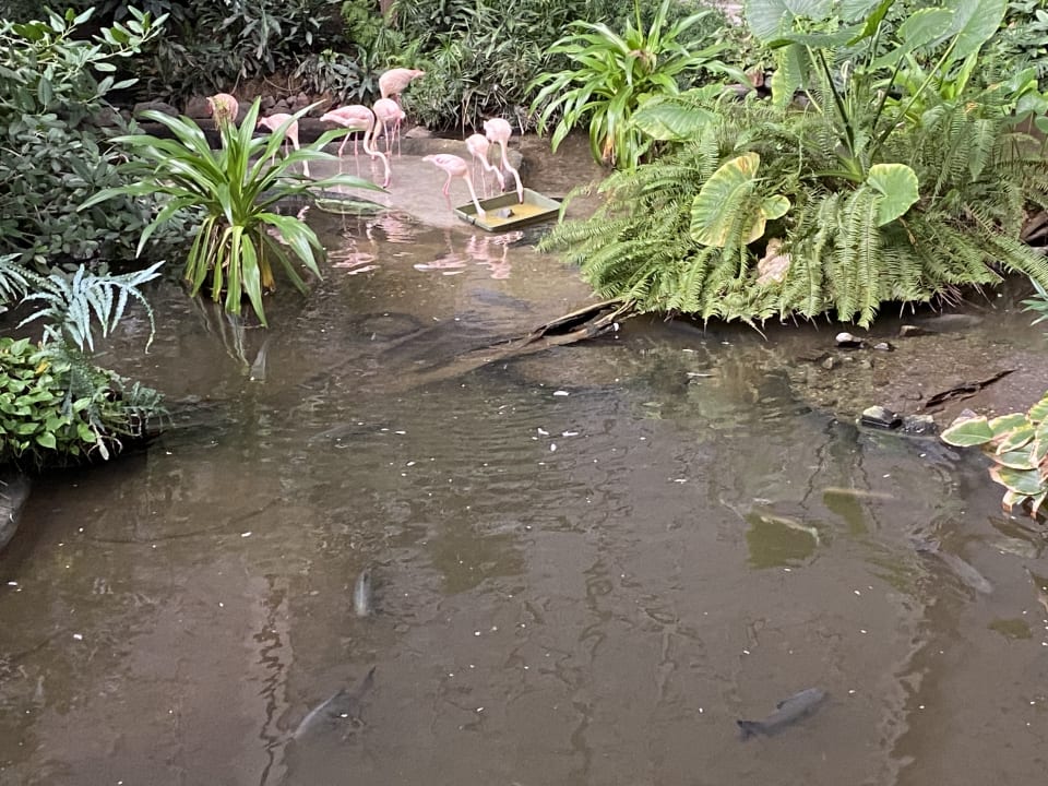 Gartenanlage Tropical Islands Resort