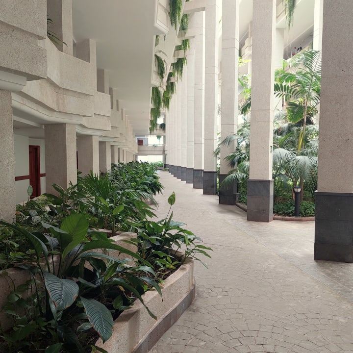 Gartenanlage Landmar Playa La Arena