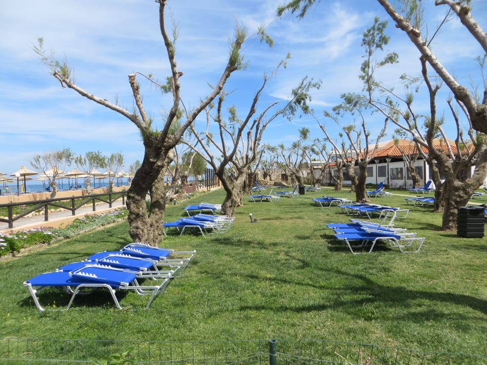 Die schöne Gartenanlage Anissa Beach & Village