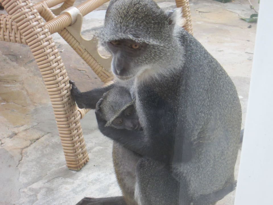 Mein Kind ich liebe dich! Hotel Southern Palms Beach Resort