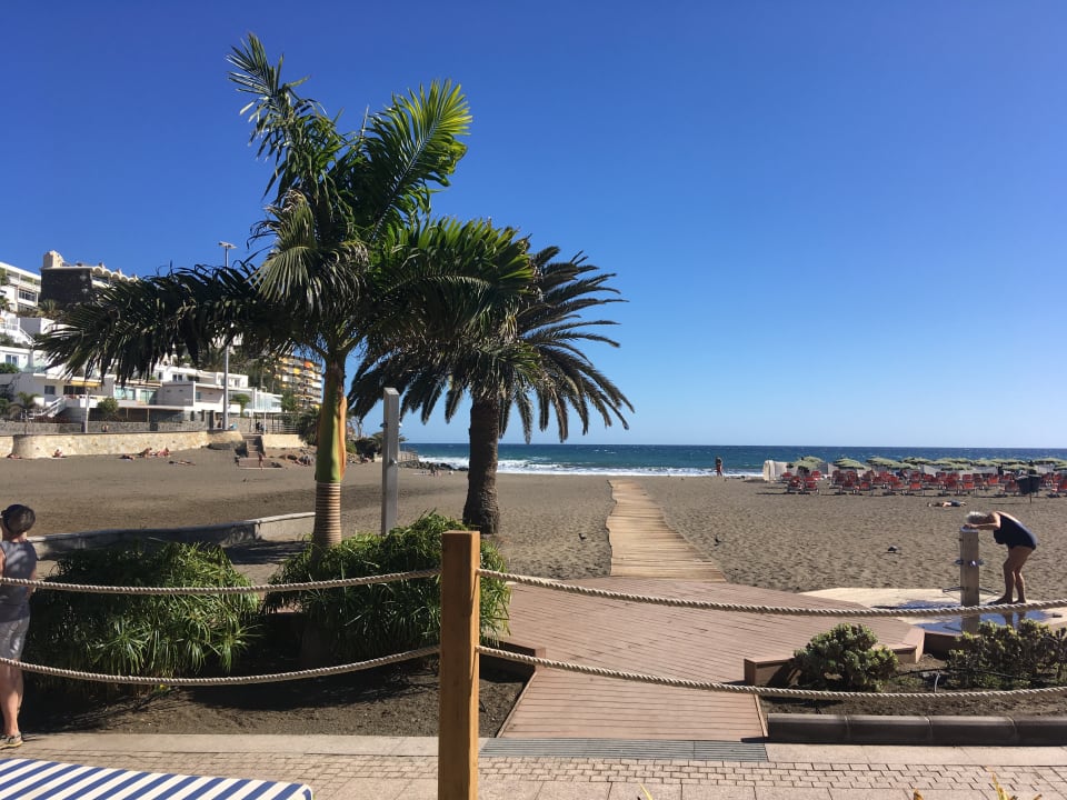 Strand Corallium Beach by Lopesan Hotels - Adults only