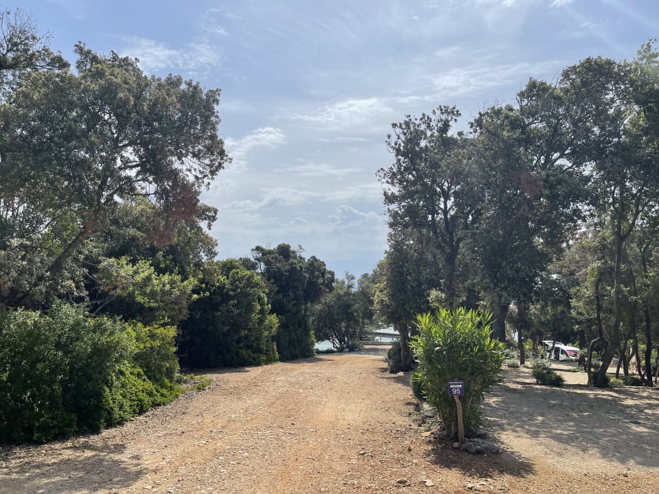 Gartenanlage FKK Camping & Bungalows Baldarin