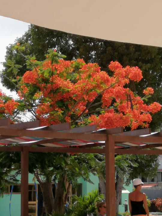 Sonstiges Sol Rio De Luna y Mares