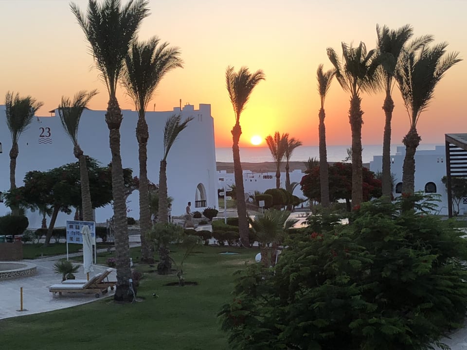 Ausblick Hilton Marsa Alam Nubian Resort