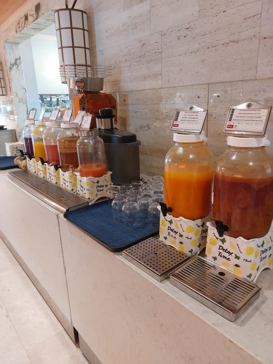 Gastro Acanthus Cennet Barut Collection