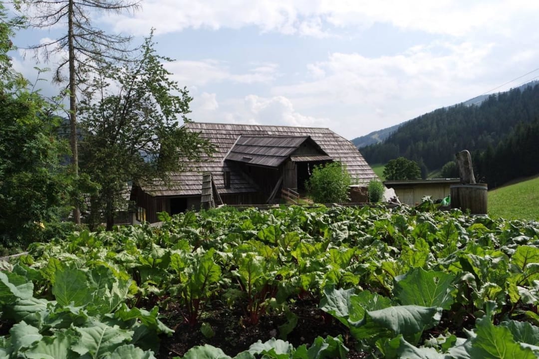 Unser Gemüsegarten Hotel Hinteregger