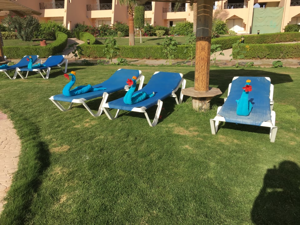 Schön mit den Badetücher gestaltet  Jasmine Palace Resort & Spa