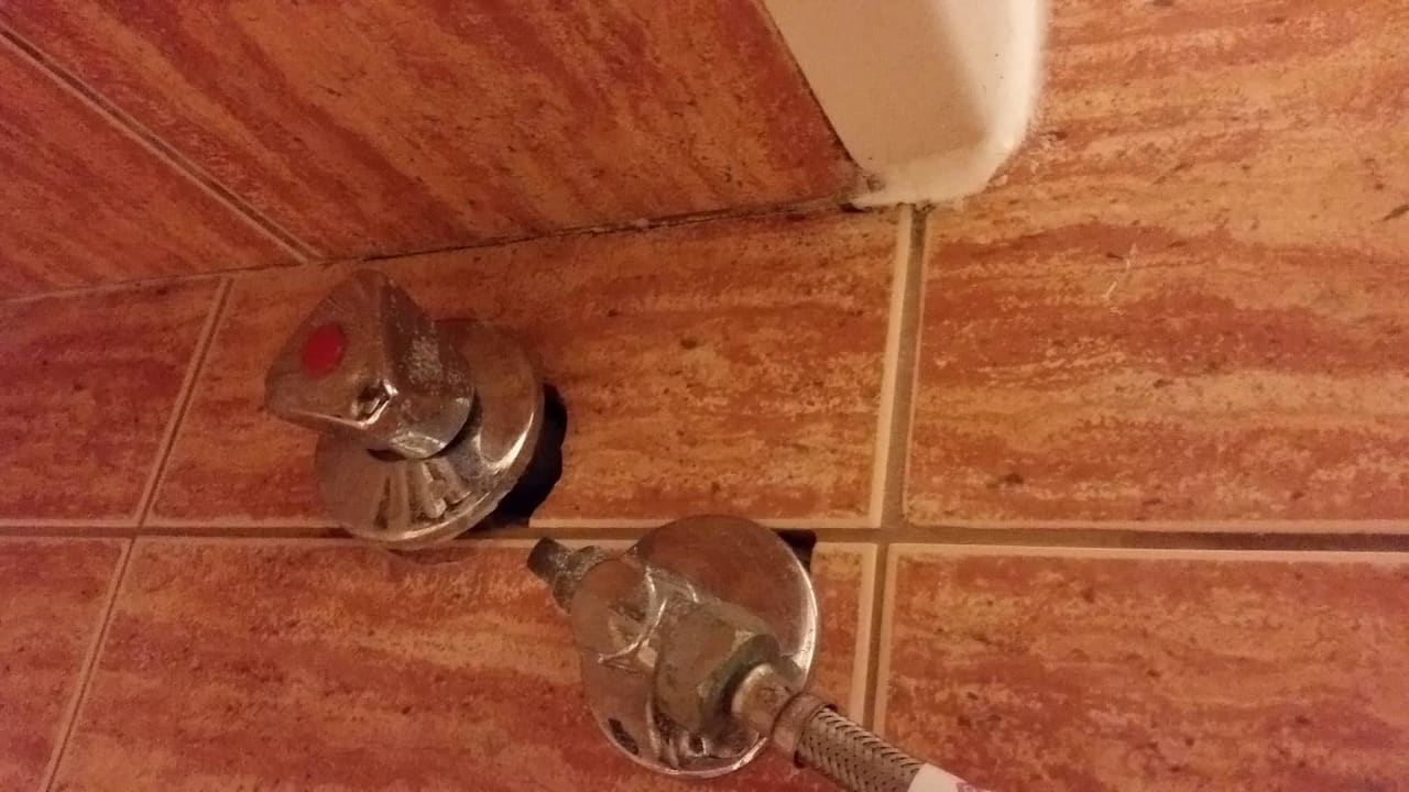 4 Sterne Standard im Blue Dolphin Blue Dolphin Resort Hotel