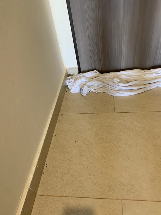 Zimmer Hotel Riu Baobab - All Inclusive