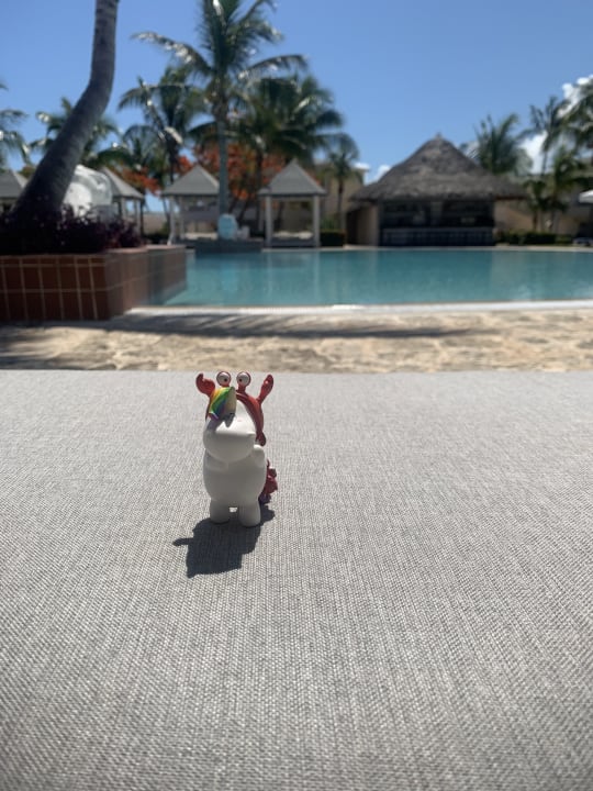 Pool Paradisus Varadero Resort & Spa