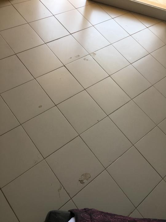 Zimmer Hotel Rosa Beach