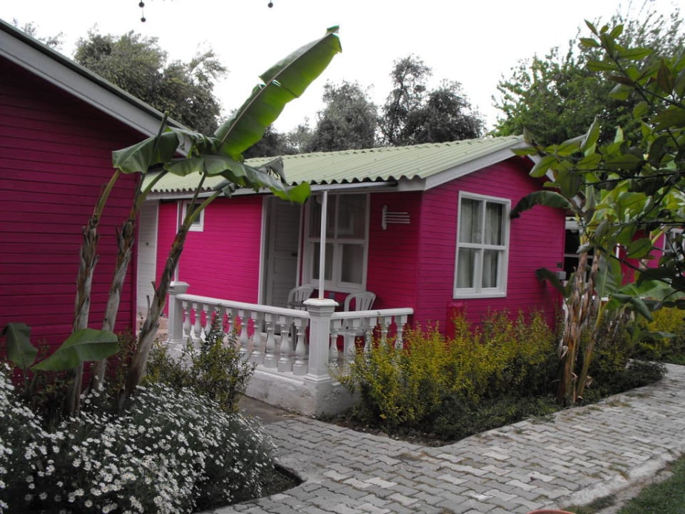 Unser Bungalow 305 Side Altinkum Hotel
