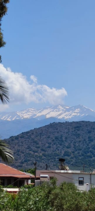 Ausblick allsun Hotel Carolina Mare