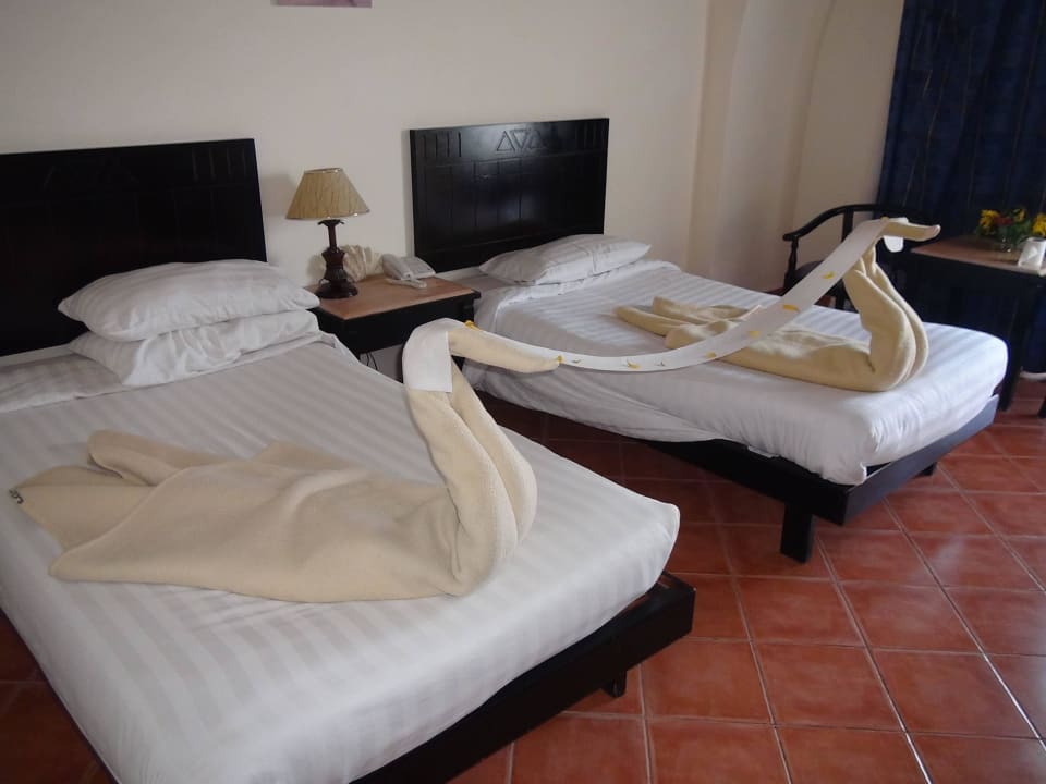 Pokój Three Corners Sea Beach Resort