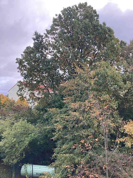 Ausblick Best Western Hotel Windorf
