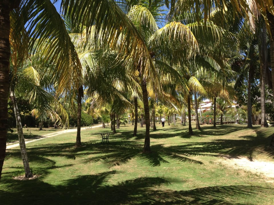 Weg zum Zimmer Royalton Hicacos Resort & Spa - Adults only