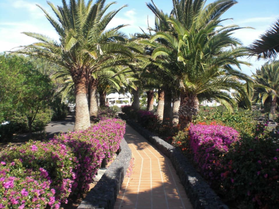 Weg zur Apartanlage Relaxia Olivina