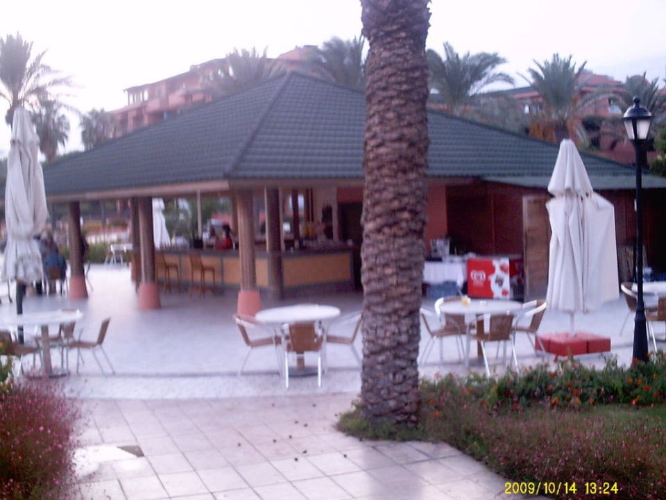 Poolbar The Norm Oriental