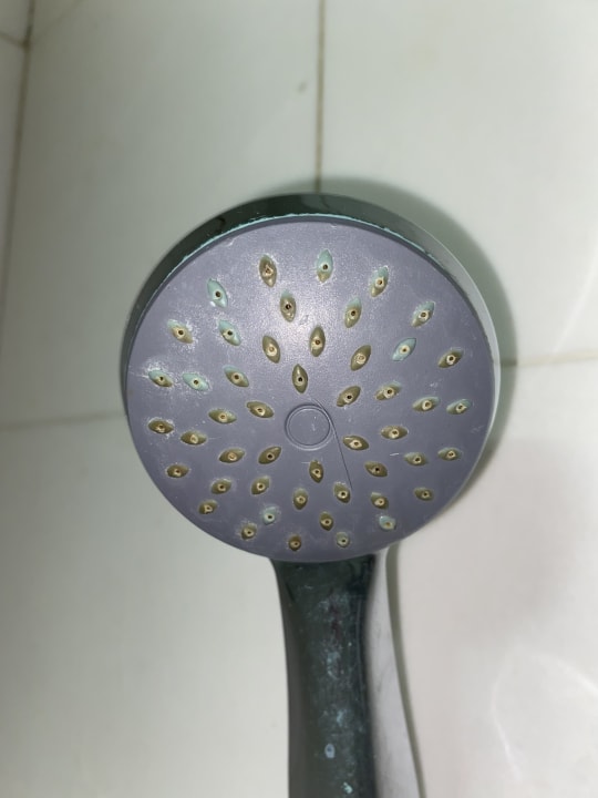 Zimmer Apollon Hotel