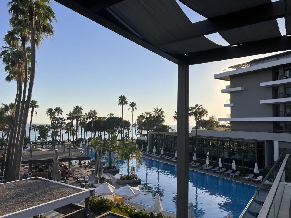 Pool Acanthus Cennet Barut Collection