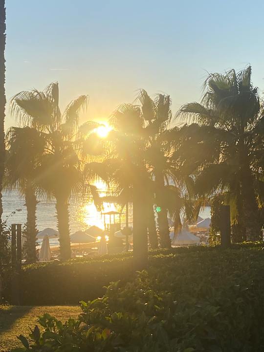 Ausblick PALOMA Perissia