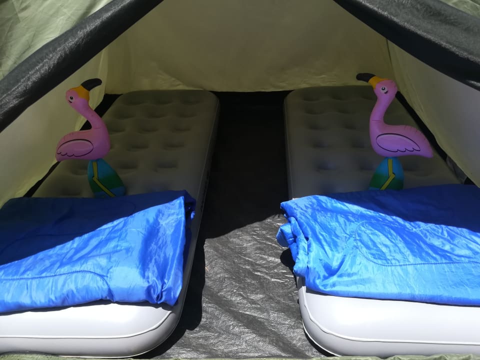 Zimmer Ibiza All-Inclusive Party Camp
