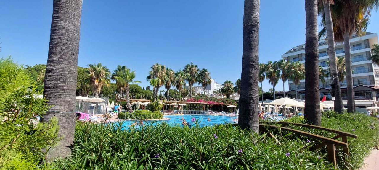 Gartenanlage Trendy Palm Beach (Adults Only, 16+)