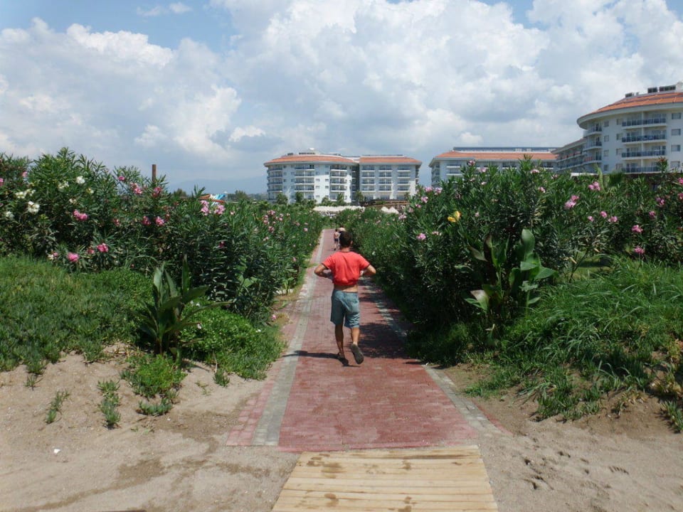 Außenansicht Seaden Sea World Resort & Spa