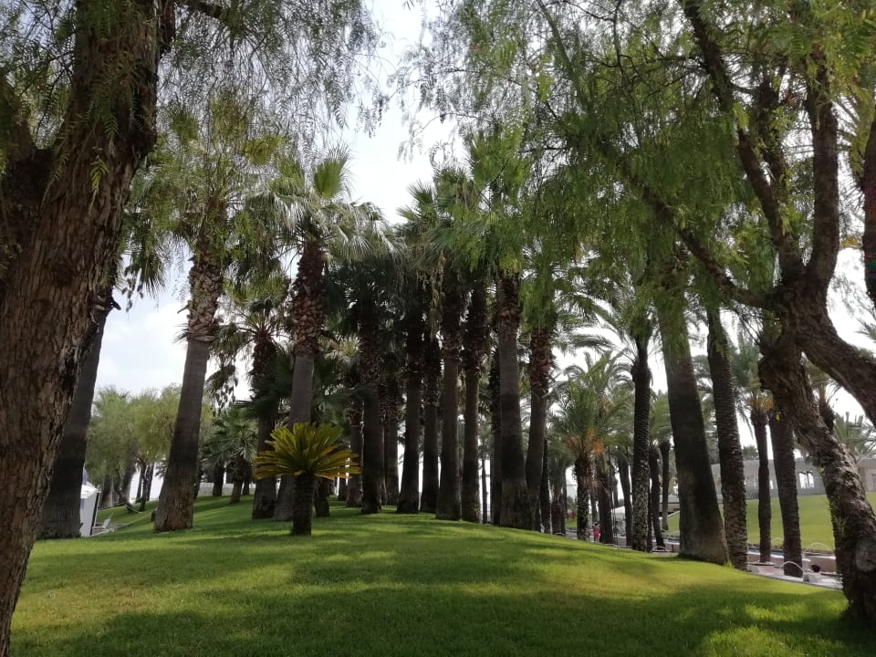 Gartenanlage Monachus Family Resort Sorgun