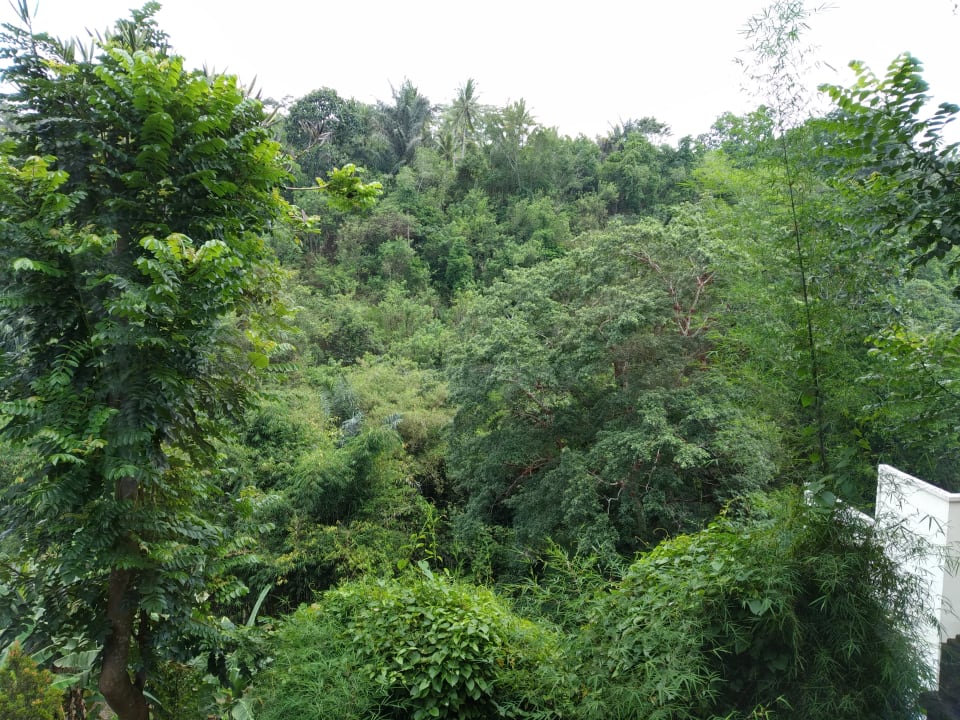 Zimmer The Payogan Villa Resort & Spa