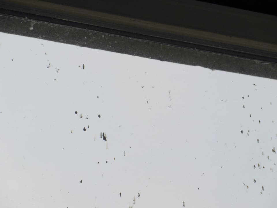 Fensterscheibe NH City Centre