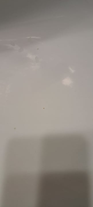 Zimmer BLUESEA Jandia Luz