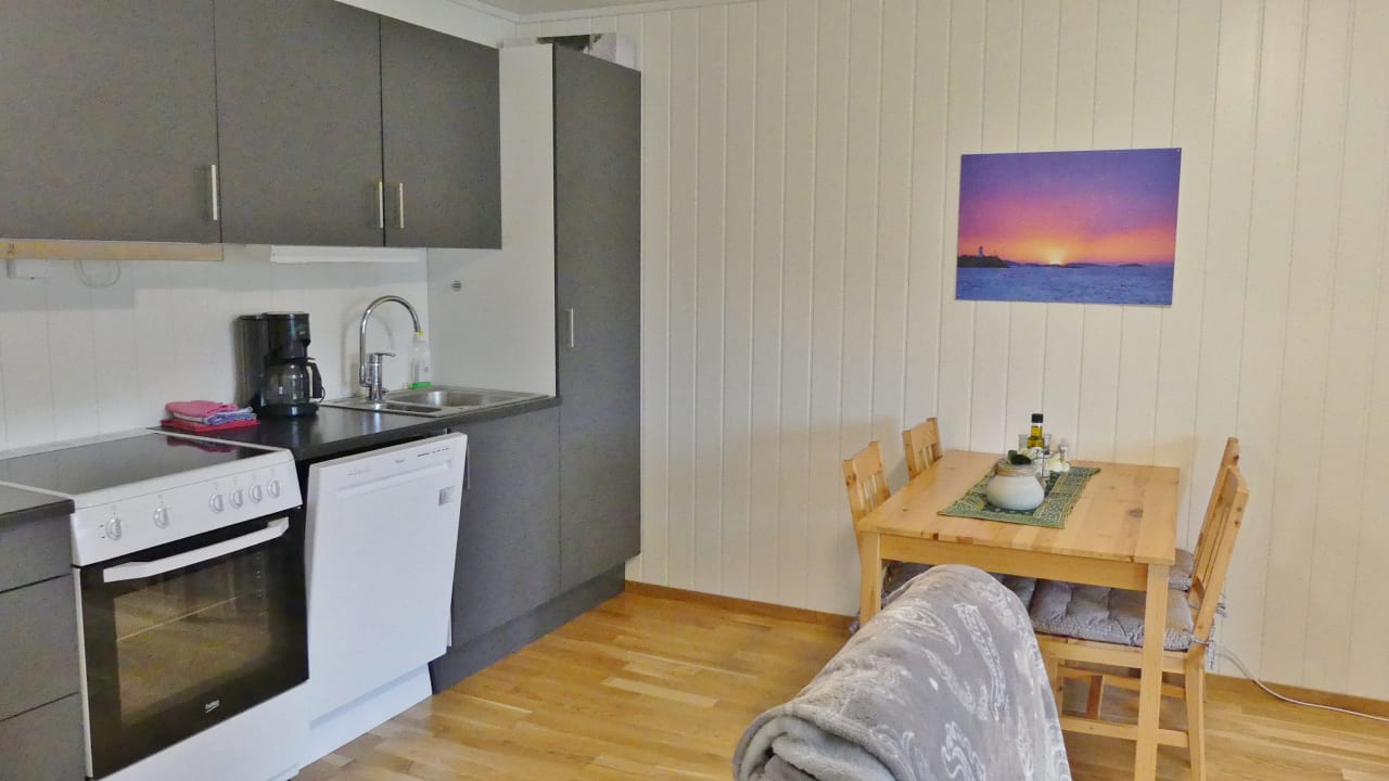 Zimmer Ellingsen Apartment Falcks Gate