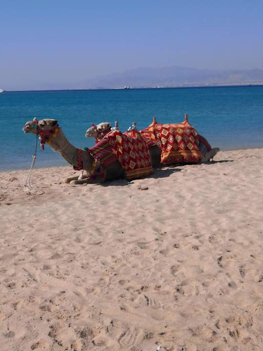 Strand The Cascades Golf Resort, Spa & Thalasso