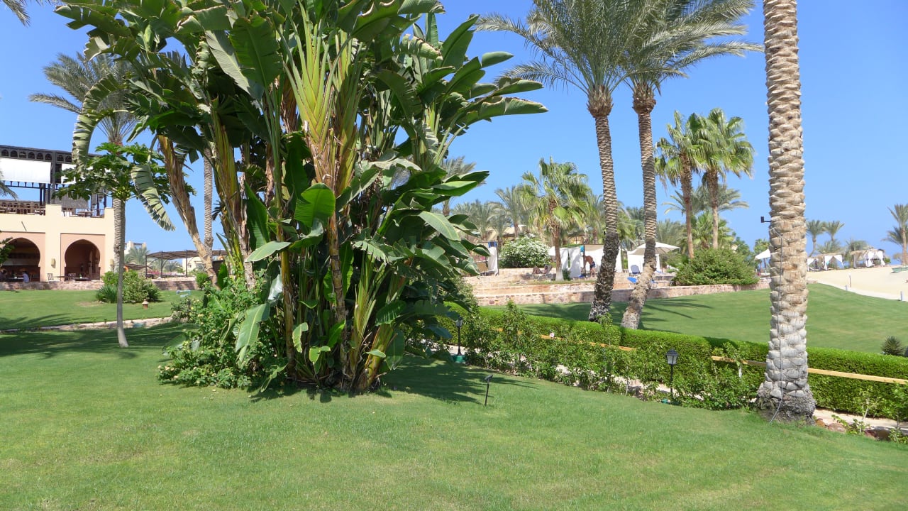 Gartenanlage Steigenberger Coraya Beach - Adults only