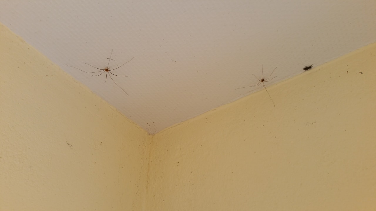 Zimmer Heide Park Holiday Camp