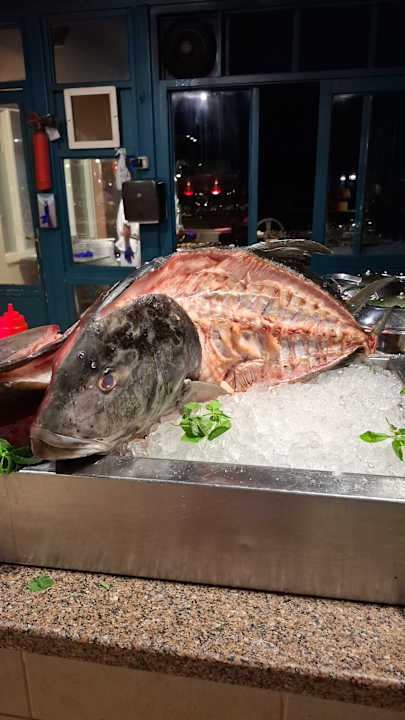 Gastro Club Paradisio El Gouna, Red Sea