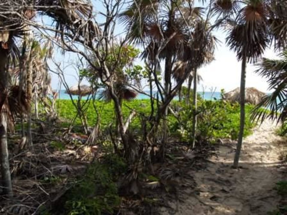 Blick vom Grill-Retaurant zum Meer Hotel Melia Cayo Coco - Adults only