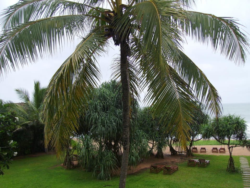 Schöne Aussicht Temple Tree Resort & Spa