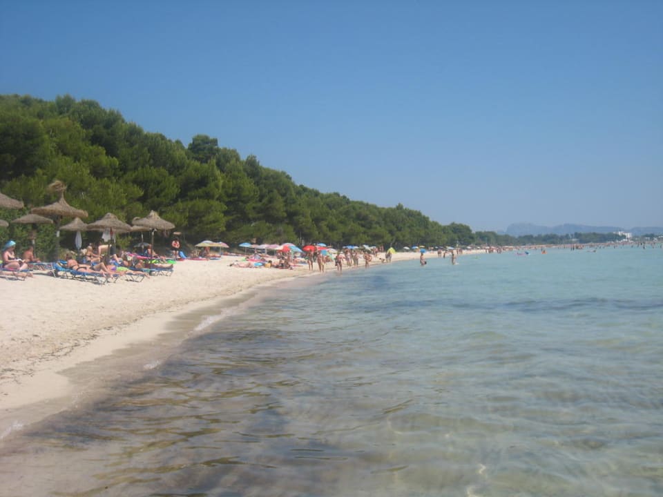 Strand vor dem Hotel Aparthotel Ivory Playa