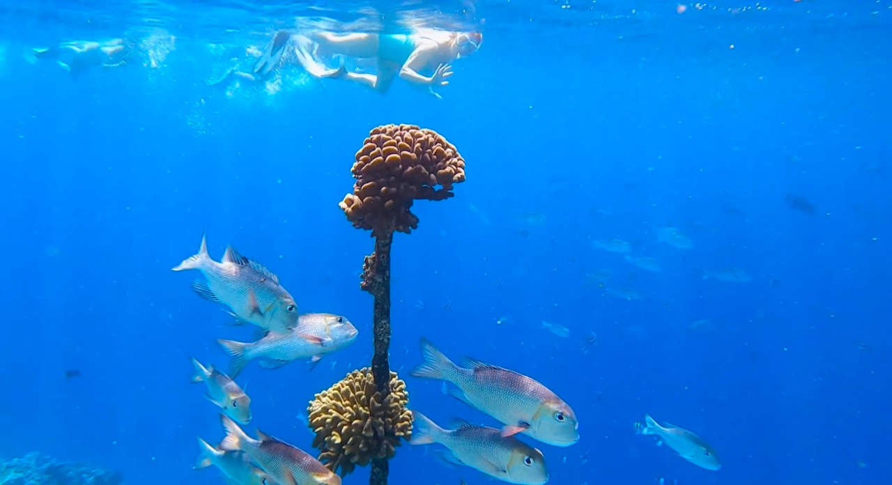 Strand ananea Diamonds Athuruga