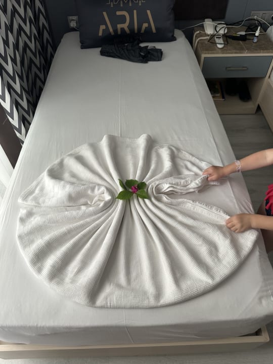 Zimmer Aria Resort & Spa