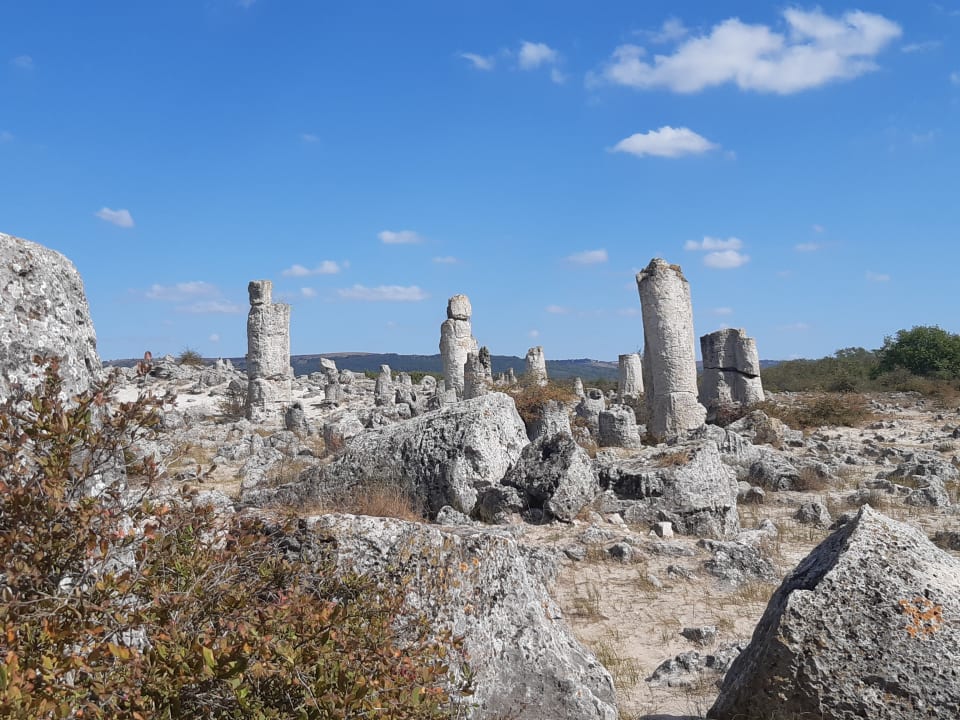 Ausblick HVD Viva Club Hotel