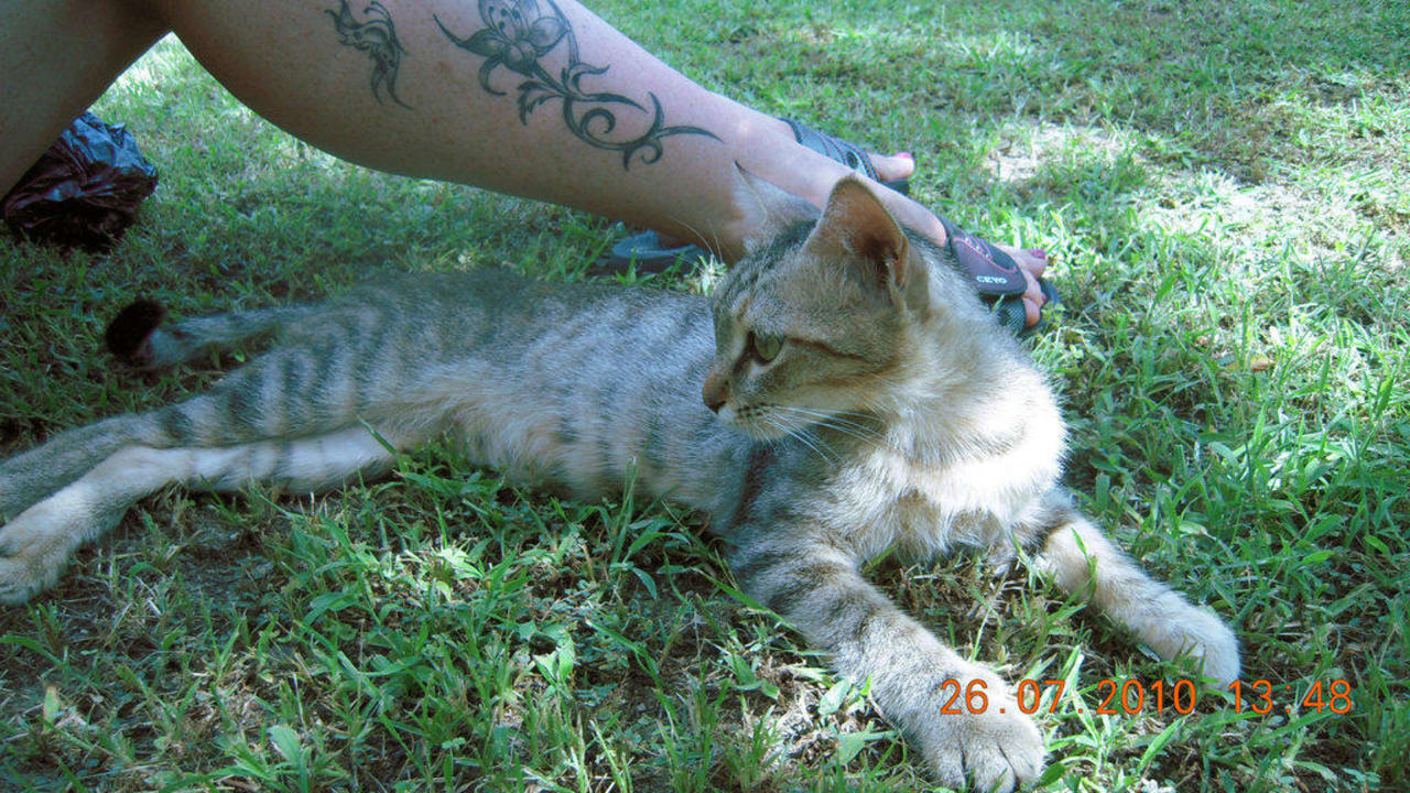 Mama Hotel Defne Garden