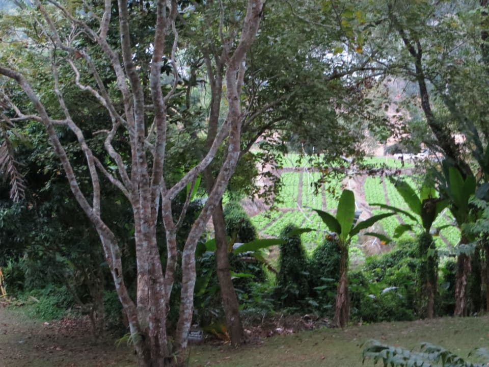 Anlage Hotel Hmong Hilltribe Lodge