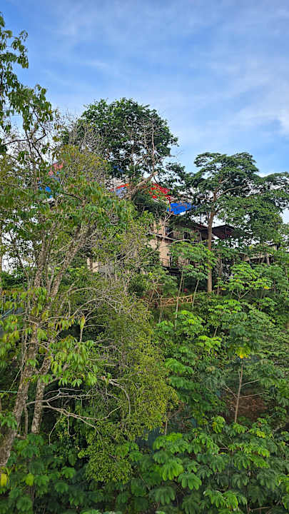 Außenansicht Mountain Top Park Hotel