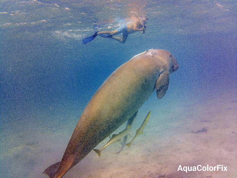 Strand Three Corners Sea Beach Resort